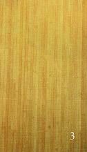 bamboo07.jpg (3884 字节)