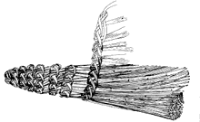broom744.gif (14100 字节)