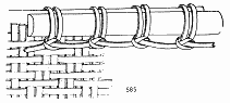 bz585.gif (12189 字节)