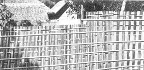bamboo poles