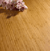 bamboo flooring