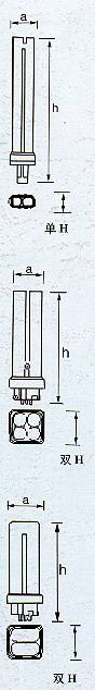 graph3.jpg (31799 字节)