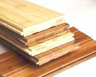 bamboo-1.jpg (31515 �—?#352;‚)