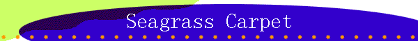 images02.gif (3404 �ֽ�)