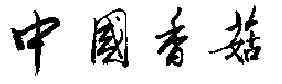wpe2.jpg (4288 字节)